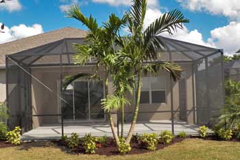 Adonidia Palm in front of a pool cage at a home in Palmetto, FL.