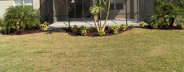 Protect Your Landscaping from the Summer Heat in Florida with These Four Hot Tips!