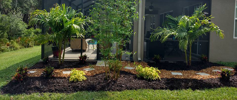 Landscape bed with plantings and palm trees installed in Brandon, FL.