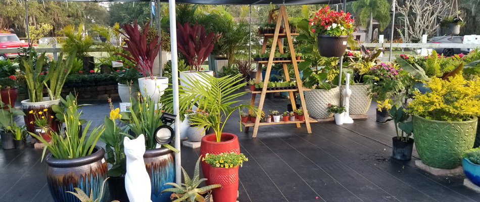 Potted plants and tropical plantings at the Three Seasons nursery in Palmetto, FL.