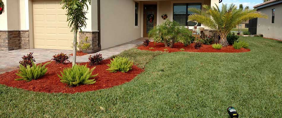 Well maintained lawn and landscape at a Sarasota, FL home.
