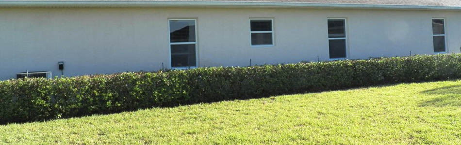 Home with trimmed shrubs and hedges in Palmetto, FL.