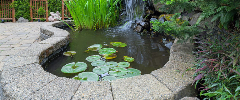 Benefits of Adding Water Features to Your Yard